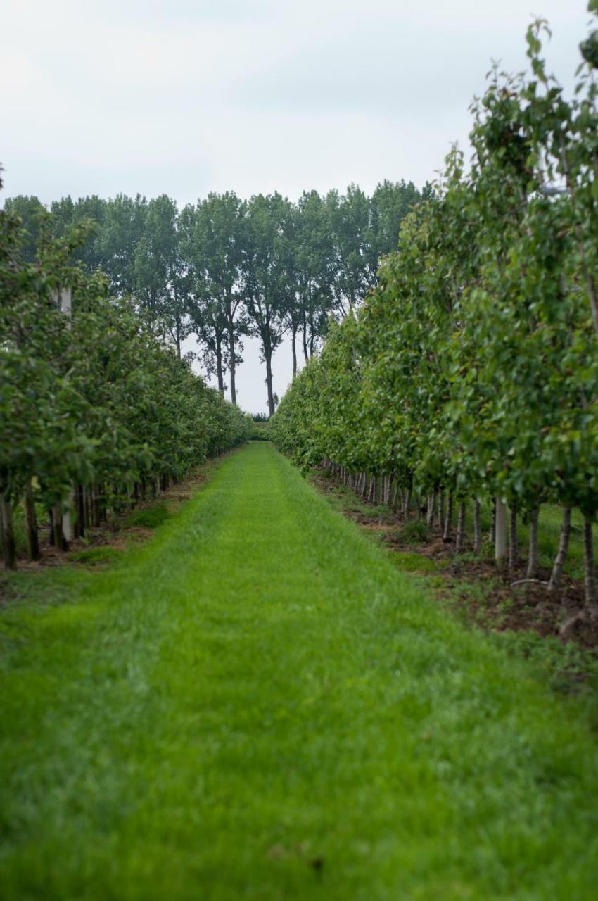 Hoeve Oude Tol Zuidzande エクステリア 写真