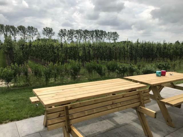 Hoeve Oude Tol Zuidzande エクステリア 写真