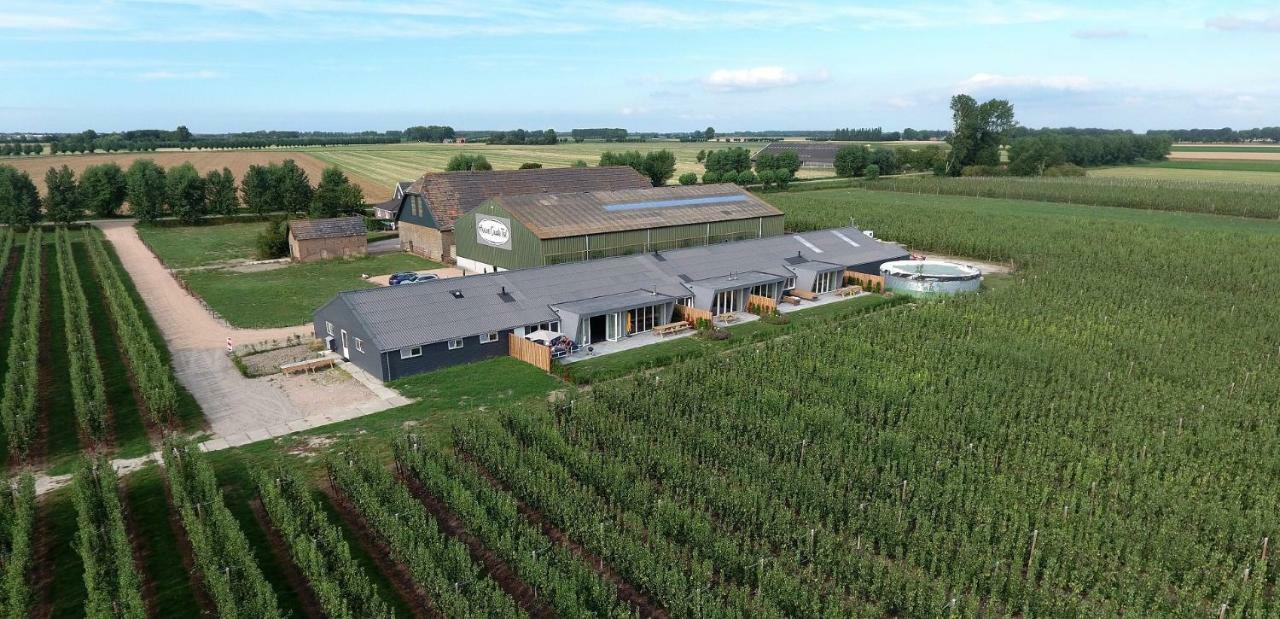 Hoeve Oude Tol Zuidzande エクステリア 写真